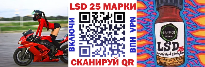 блэк спрут ссылки Камышлов Марки N-bome 1500мкг